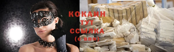 прущие грибы Лабытнанги