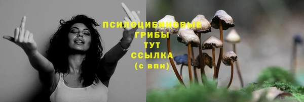 каннабис Краснотурьинск
