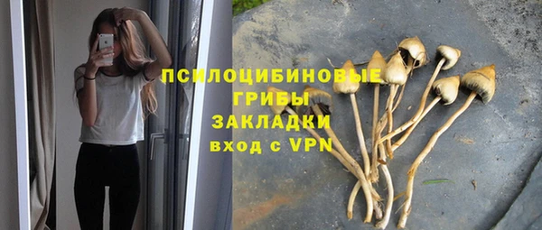 а пвп мука Покровск