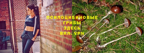 амф Краснослободск
