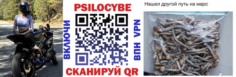 кракен ССЫЛКА  Котельники  Псилоцибиновые грибы мухоморы 